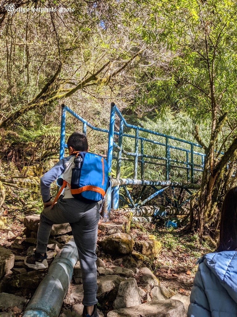 PXL_20201206_022504139.jpg PXL_20201206_022504139.jpg