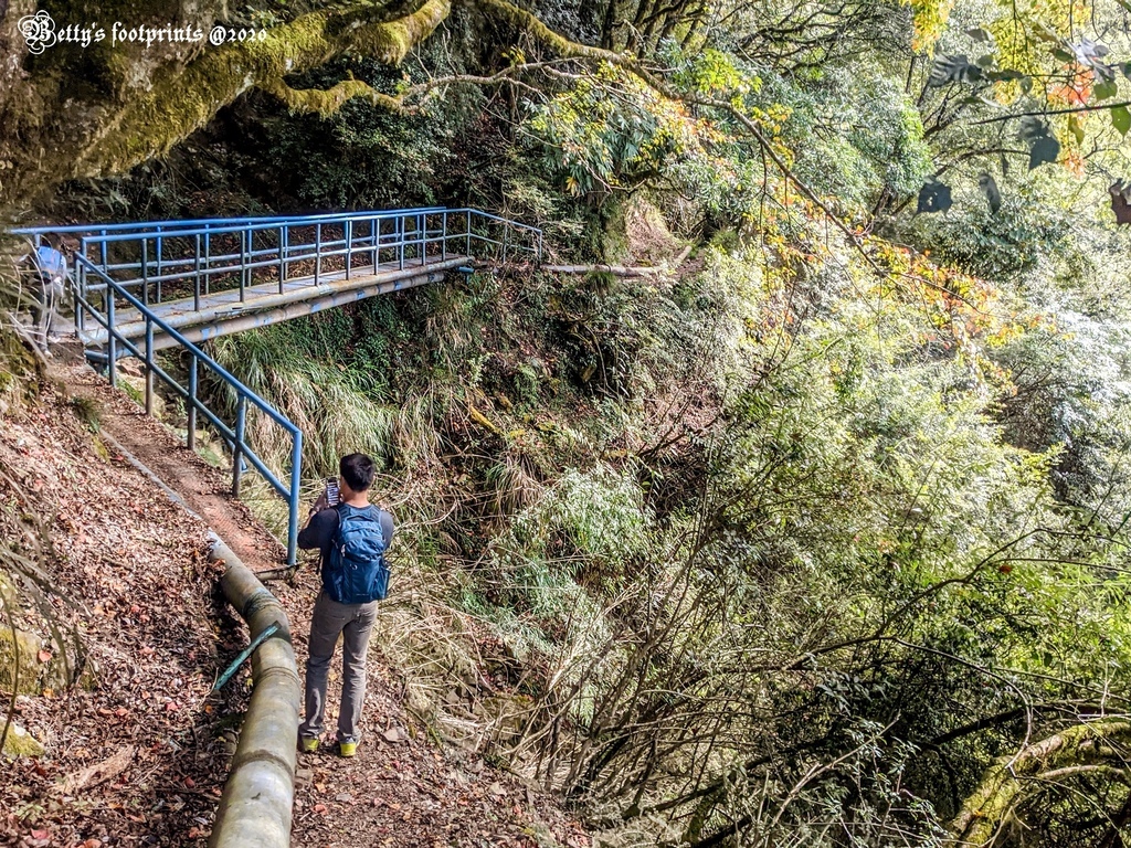 PXL_20201206_025324145.jpg PXL_20201206_025324145.jpg