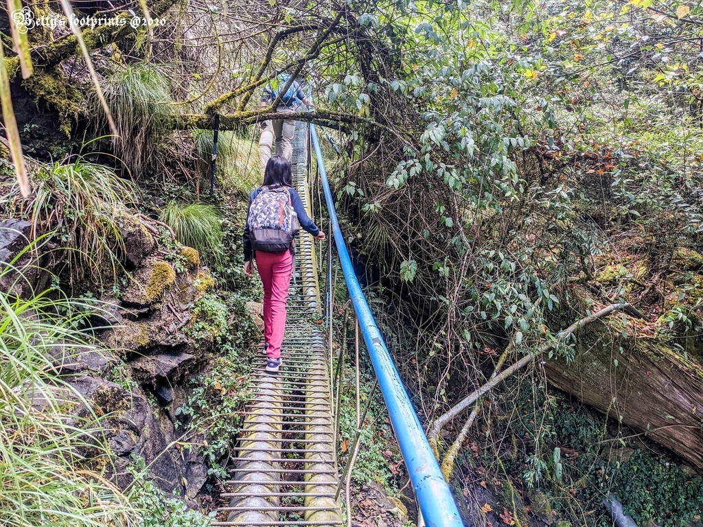 PXL_20201206_030348201.MP.jpg PXL_20201206_030348201.MP.jpg