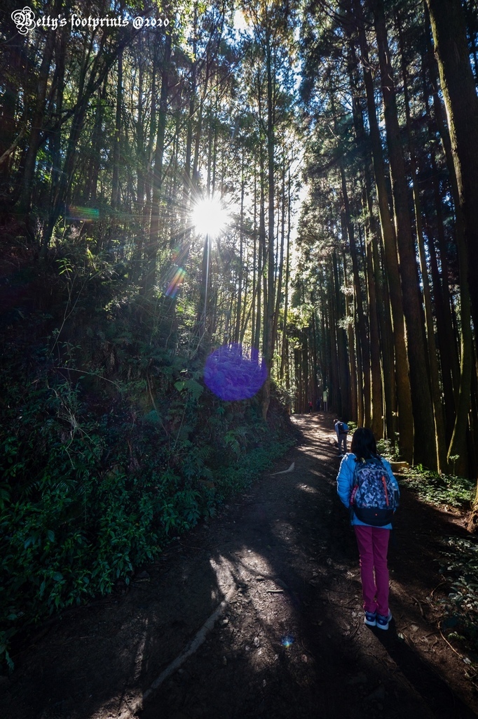 _DSF0027.jpg _DSF0027.jpg