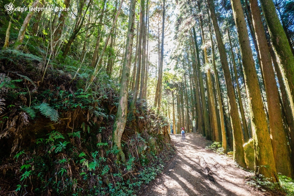 _DSF0030.jpg _DSF0030.jpg