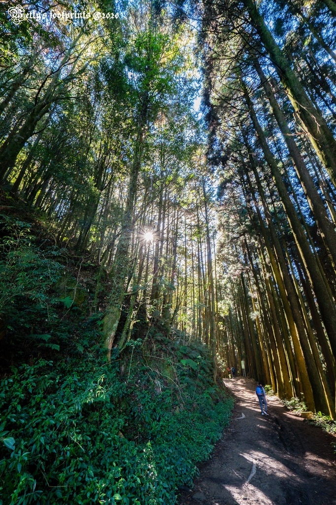 _DSF0026.jpg _DSF0026.jpg