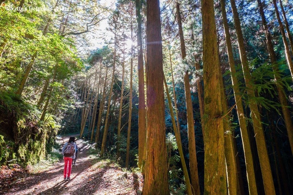 _DSF0033.jpg _DSF0033.jpg