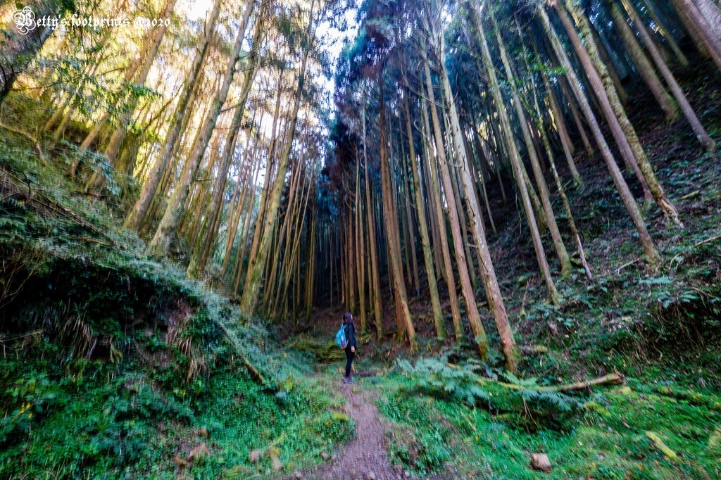 _DSF0035.jpg _DSF0035.jpg