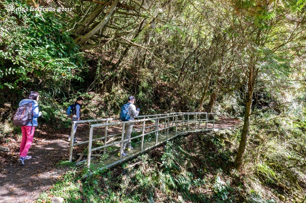 _DSF0060.jpg _DSF0060.jpg