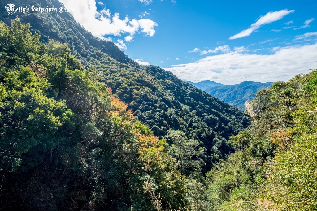 _DSF0075.jpg _DSF0075.jpg