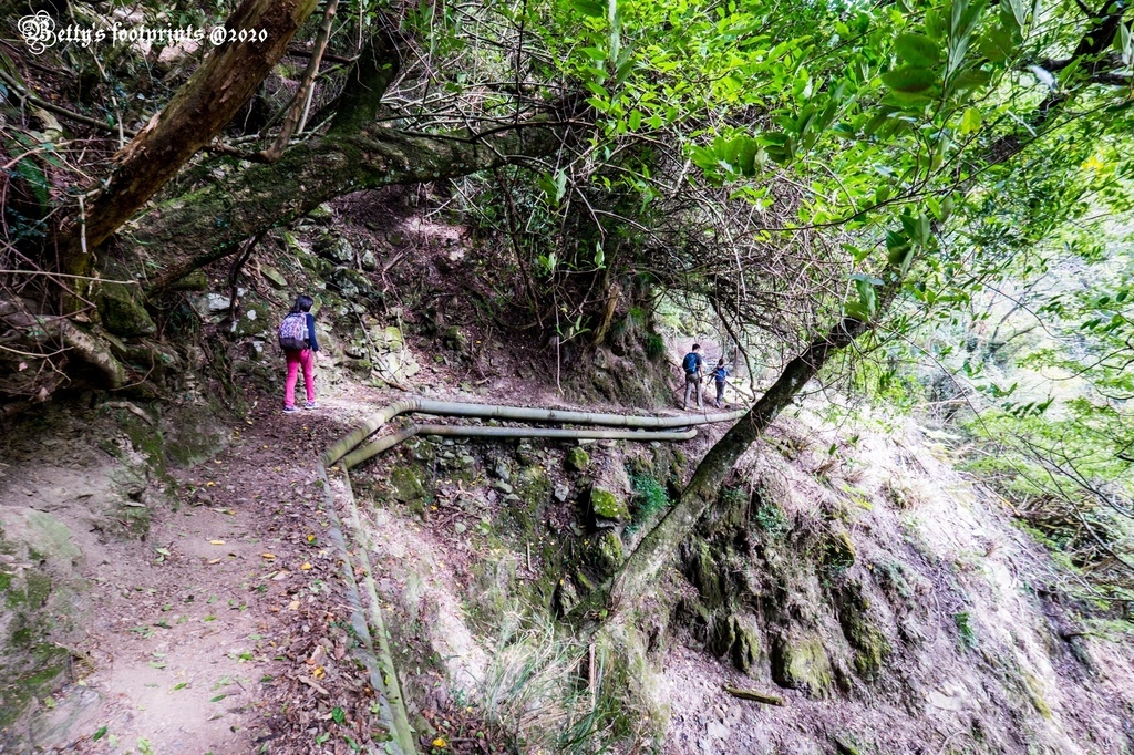 _DSF0081.jpg _DSF0081.jpg