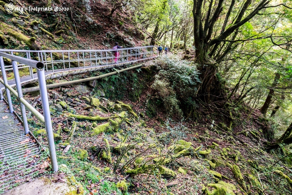 _DSF0086.jpg _DSF0086.jpg