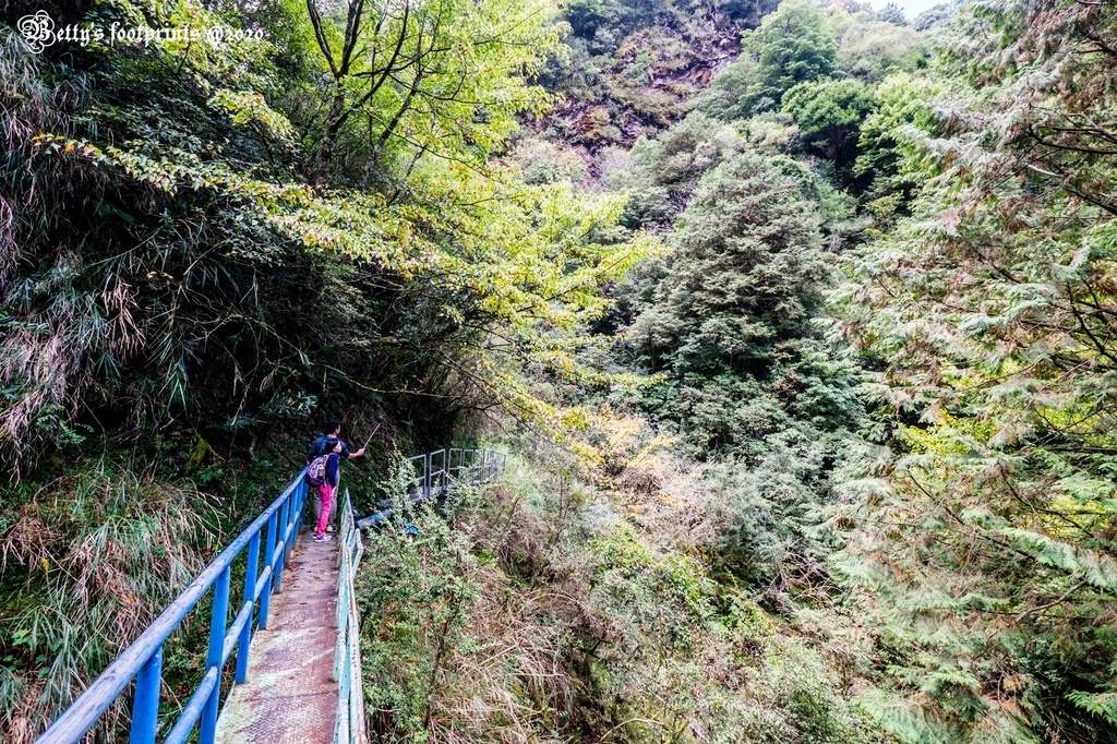 _DSF0090.jpg _DSF0090.jpg