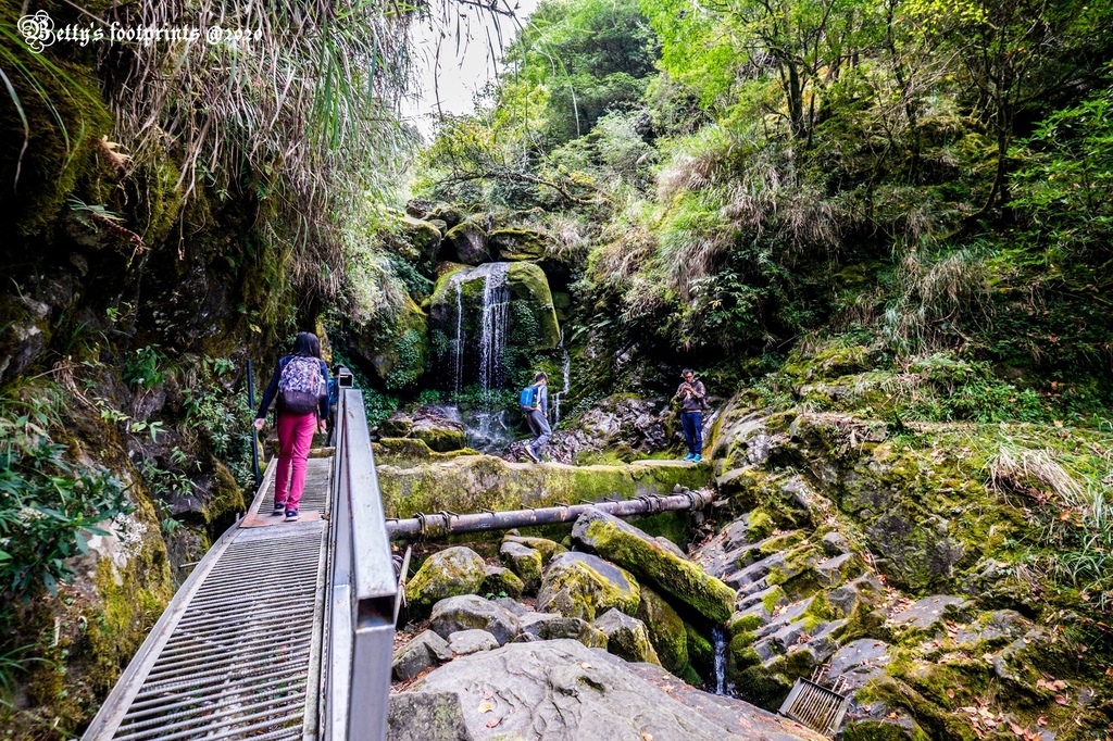 _DSF0092.jpg _DSF0092.jpg