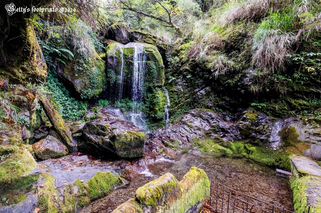 _DSF0094.jpg _DSF0094.jpg