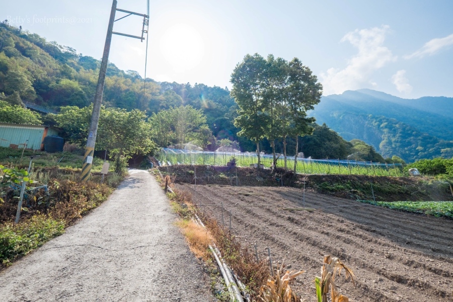 batch__DSF0412.jpg batch__DSF0412.jpg