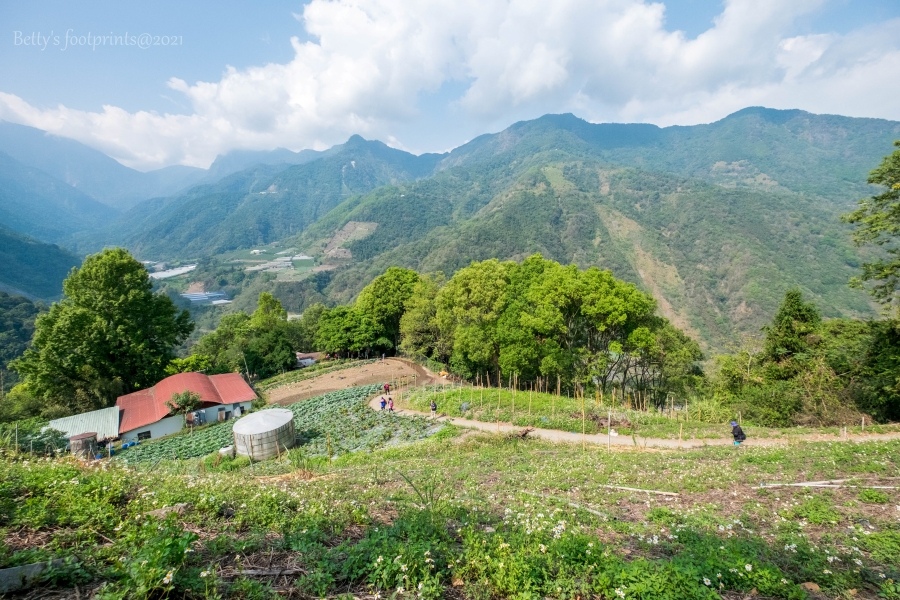 batch__DSF0424.jpg batch__DSF0424.jpg