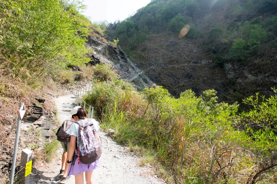 batch__DSF0427.jpg batch__DSF0427.jpg