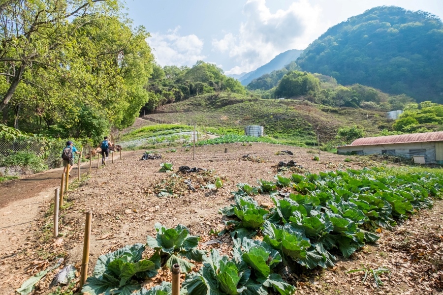 batch__DSF0423.jpg batch__DSF0423.jpg