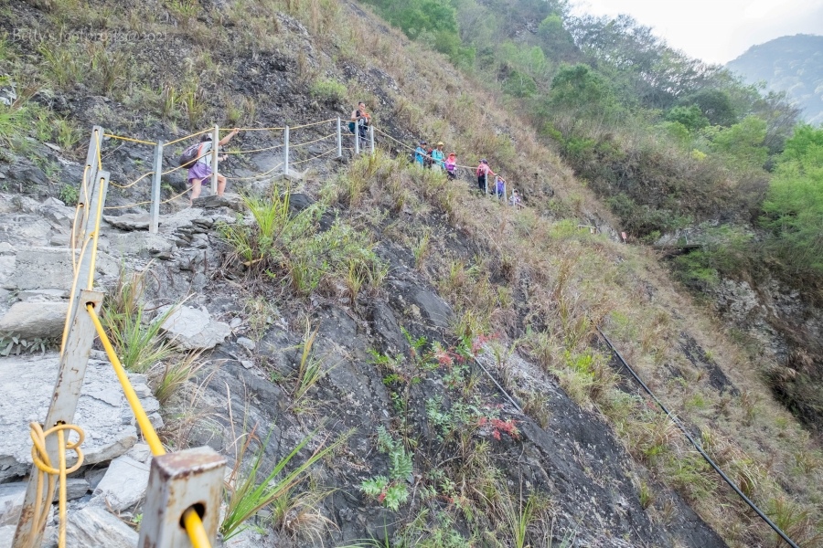 batch__DSF0429.jpg batch__DSF0429.jpg