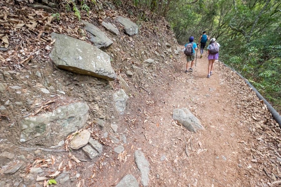 batch__DSF0444.jpg batch__DSF0444.jpg