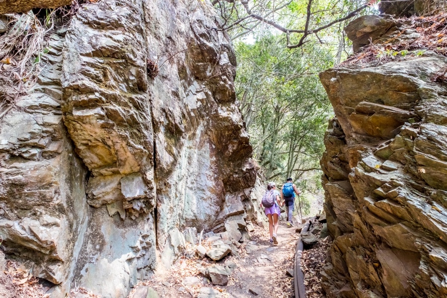 batch__DSF0454.jpg batch__DSF0454.jpg