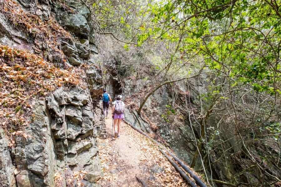 batch__DSF0452.jpg batch__DSF0452.jpg