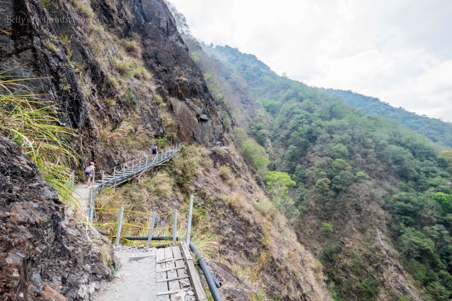 batch__DSF0461.jpg batch__DSF0461.jpg