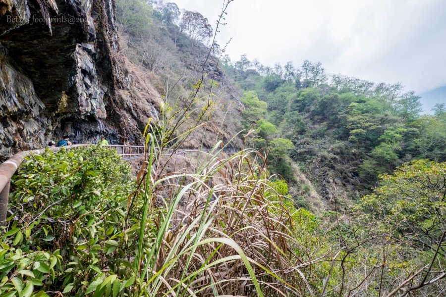 batch__DSF0464.jpg batch__DSF0464.jpg