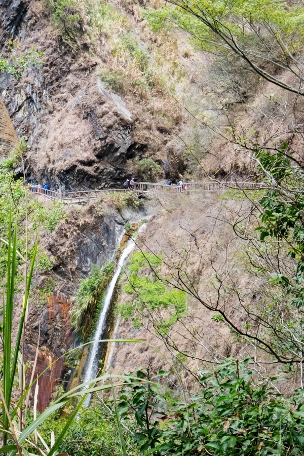 batch__DSF0472.jpg batch__DSF0472.jpg