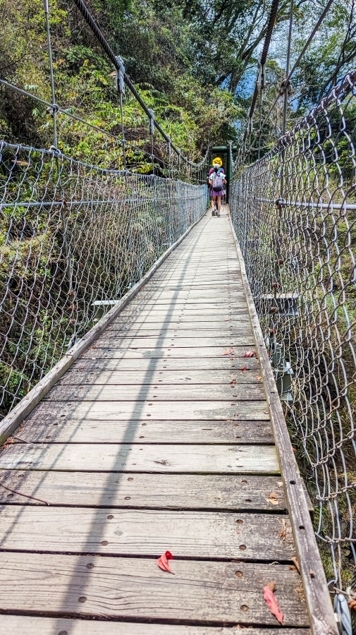 batch_IMG_20210418_111635.jpg batch_IMG_20210418_111635.jpg