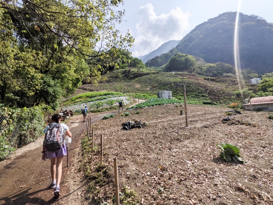 batch_PXL_20210418_010800798.jpg batch_PXL_20210418_010800798.jpg