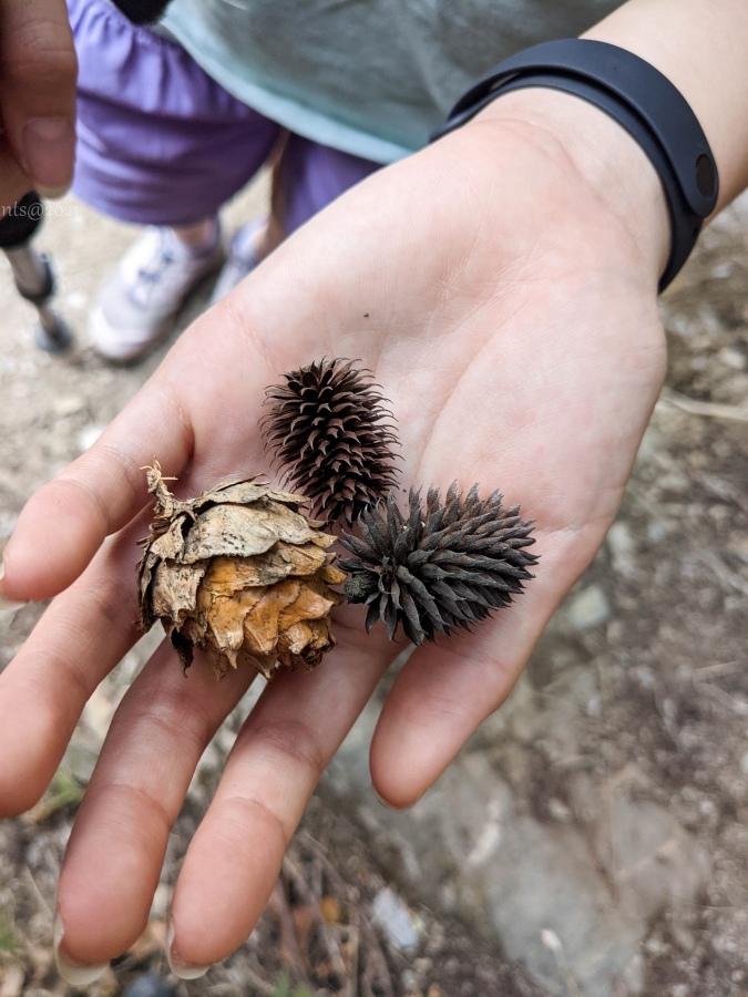 batch_PXL_20210418_014057899.jpg batch_PXL_20210418_014057899.jpg