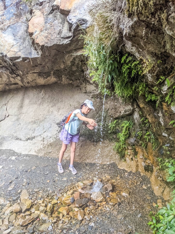 batch_PXL_20210418_030012284.jpg batch_PXL_20210418_030012284.jpg