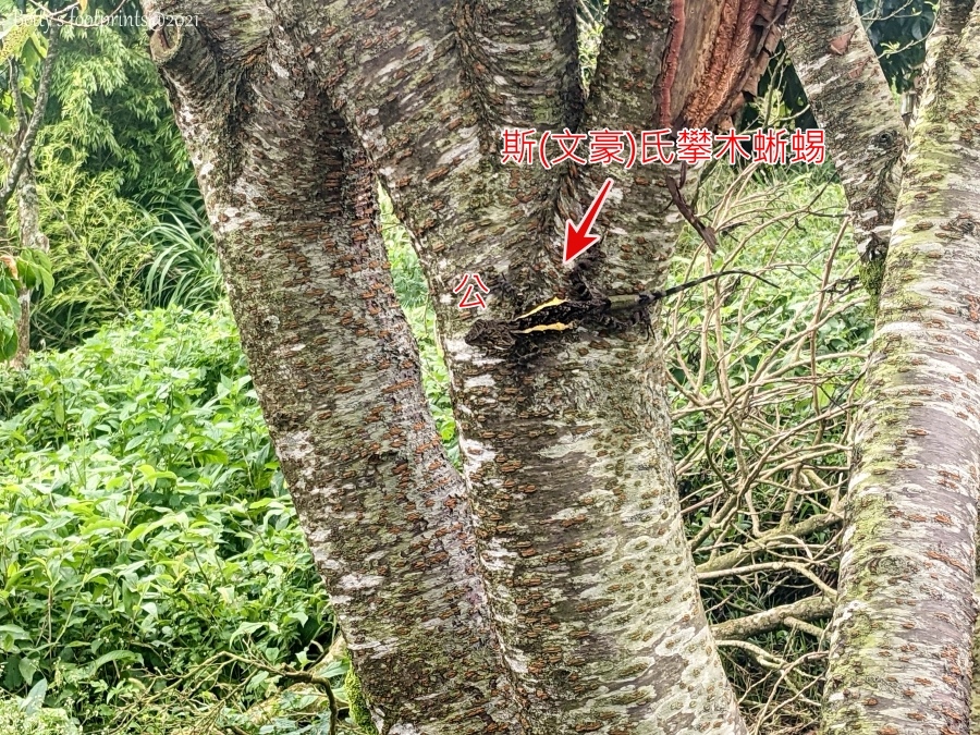 PXL_20210821_034853018.jpg PXL_20210821_034853018.jpg