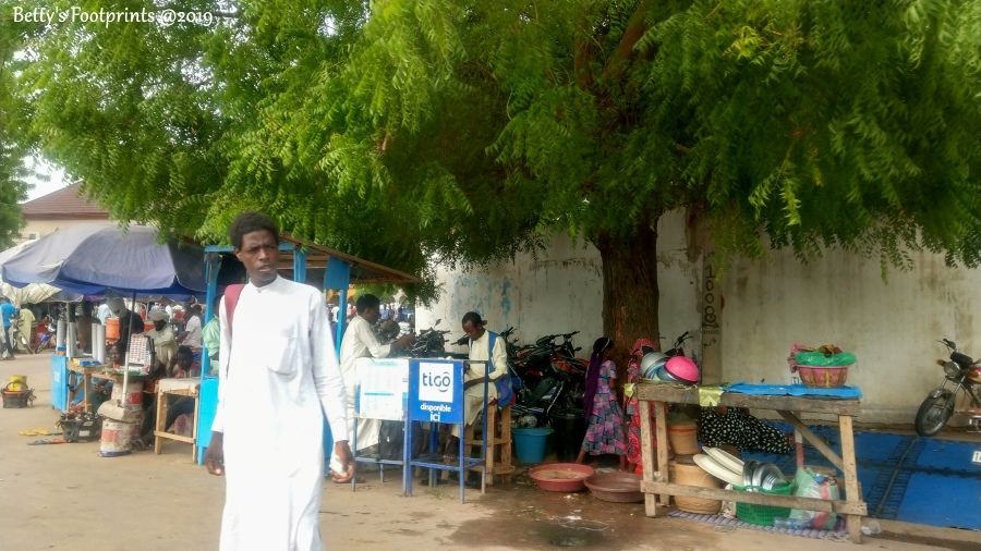 batch_IMAG0613.jpg batch_IMAG0613.jpg