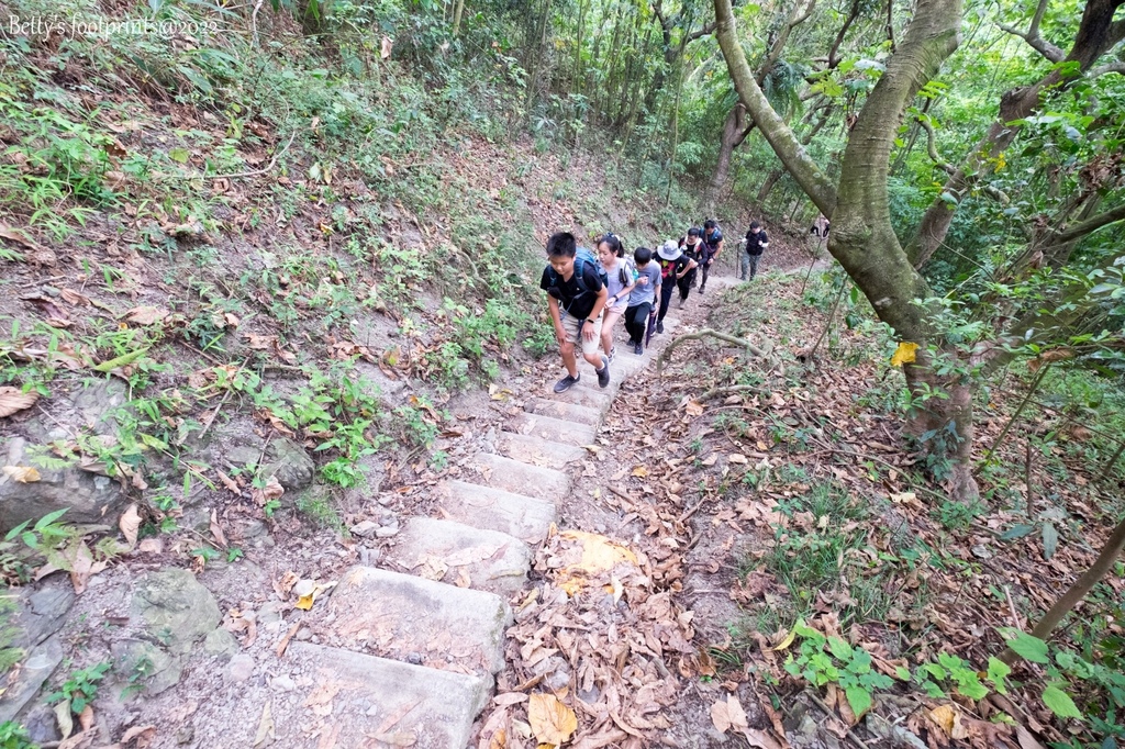 _DSF1699.jpg _DSF1699.jpg