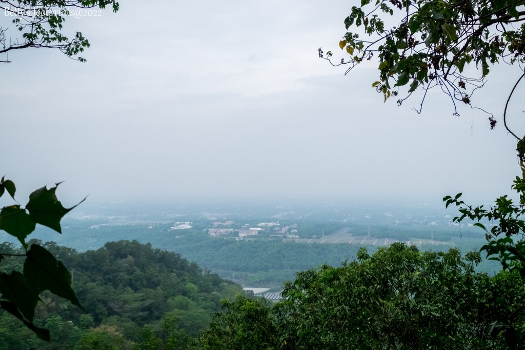 _DSF1703.jpg _DSF1703.jpg