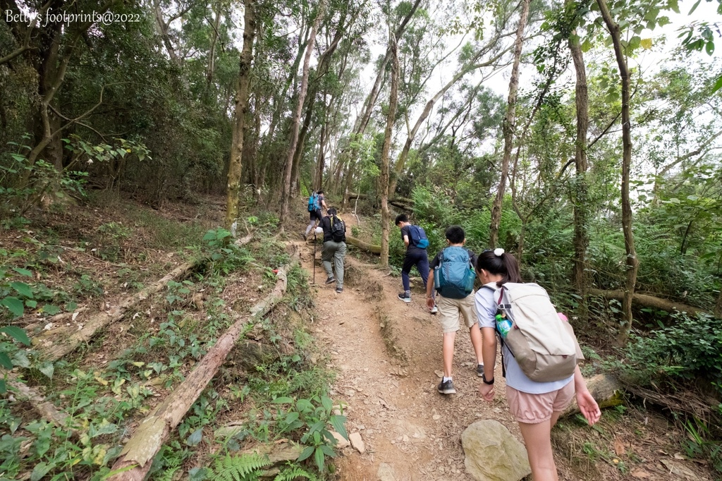 _DSF1705.jpg _DSF1705.jpg