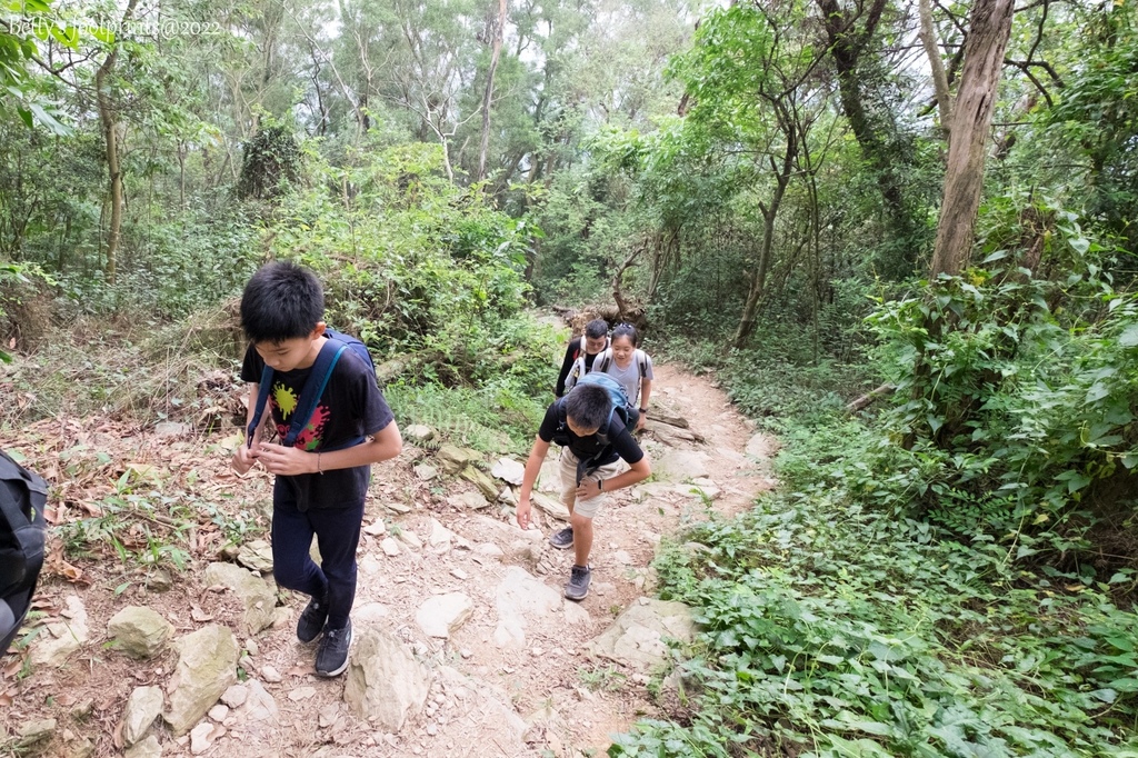 _DSF1704.jpg _DSF1704.jpg