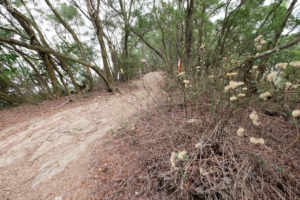 _DSF1708.jpg _DSF1708.jpg