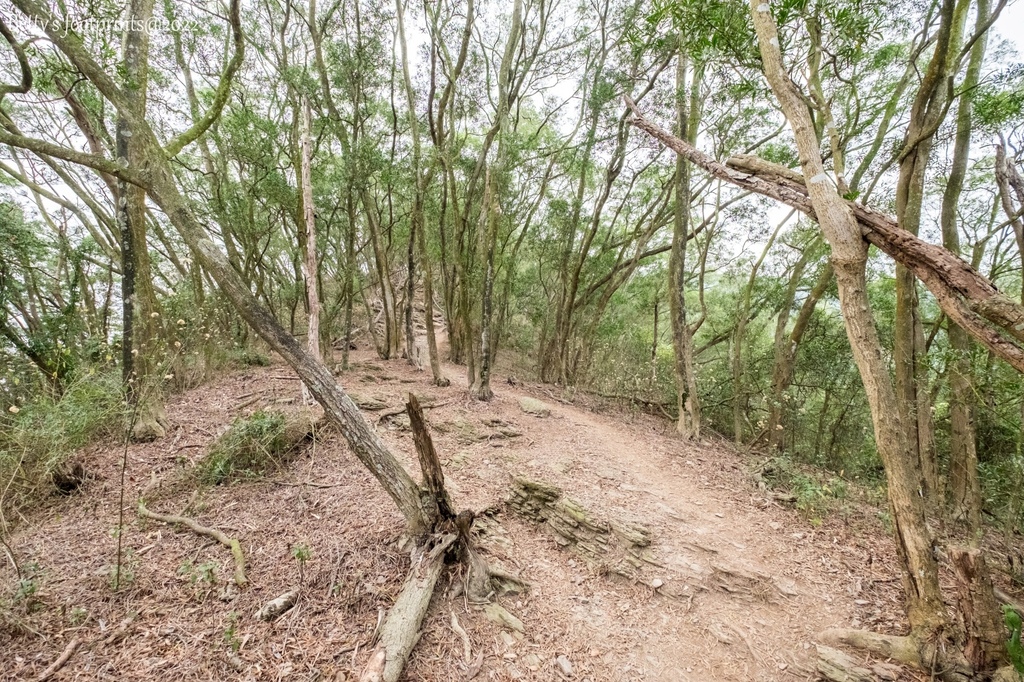 _DSF1710.jpg _DSF1710.jpg