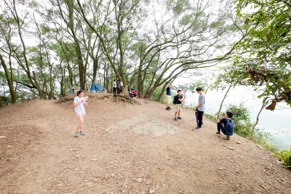 _DSF1715.jpg _DSF1715.jpg