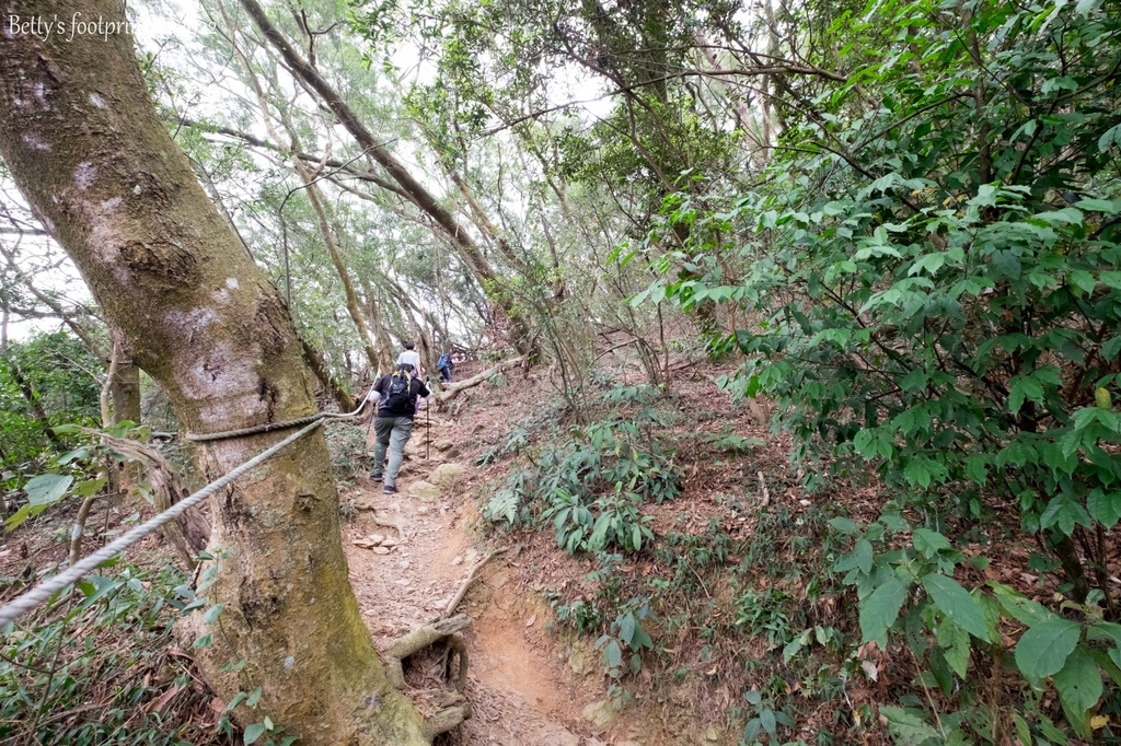 _DSF1719.jpg _DSF1719.jpg