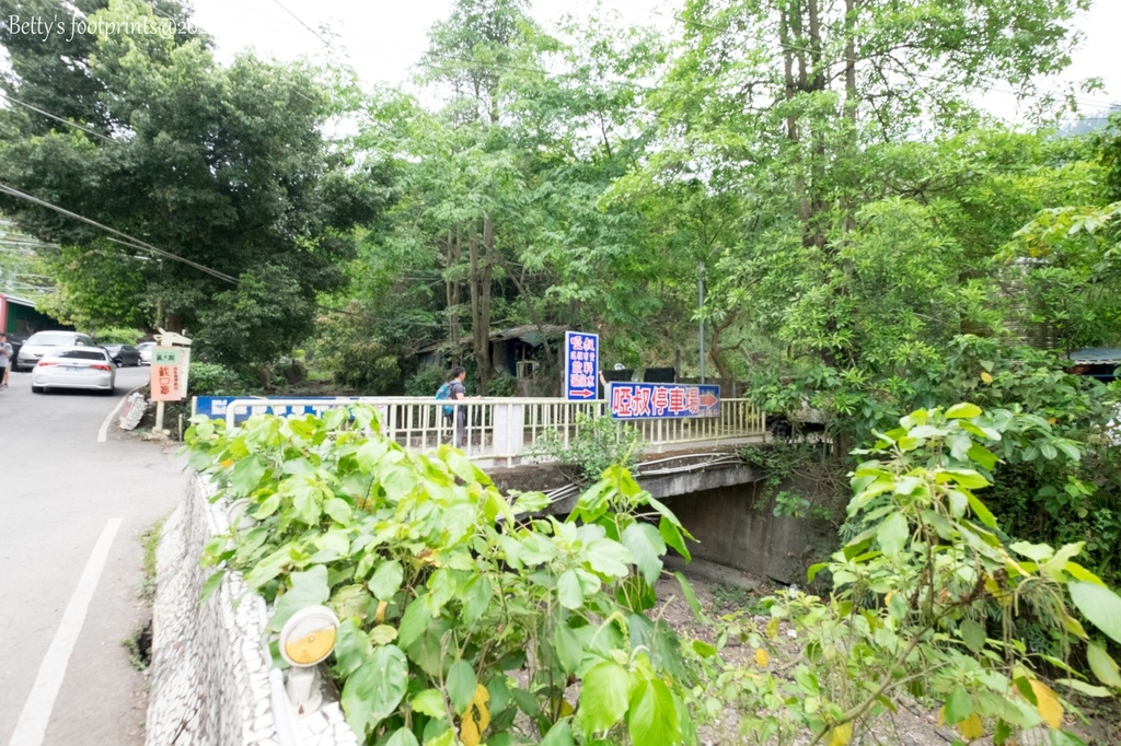 _DSF1738.jpg _DSF1738.jpg