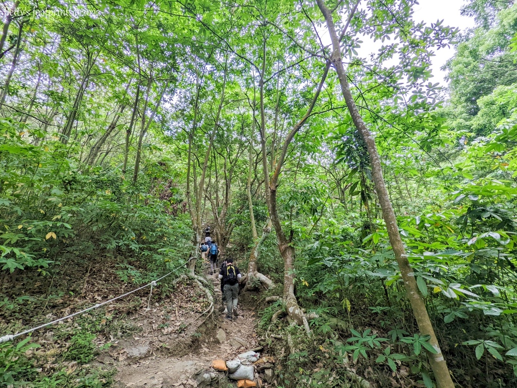 PXL_20220417_003406171.jpg PXL_20220417_003406171.jpg