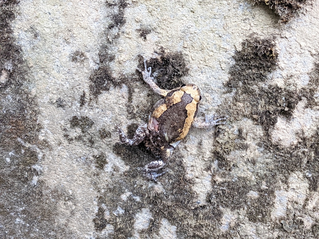 PXL_20220417_001445706.jpg PXL_20220417_001445706.jpg