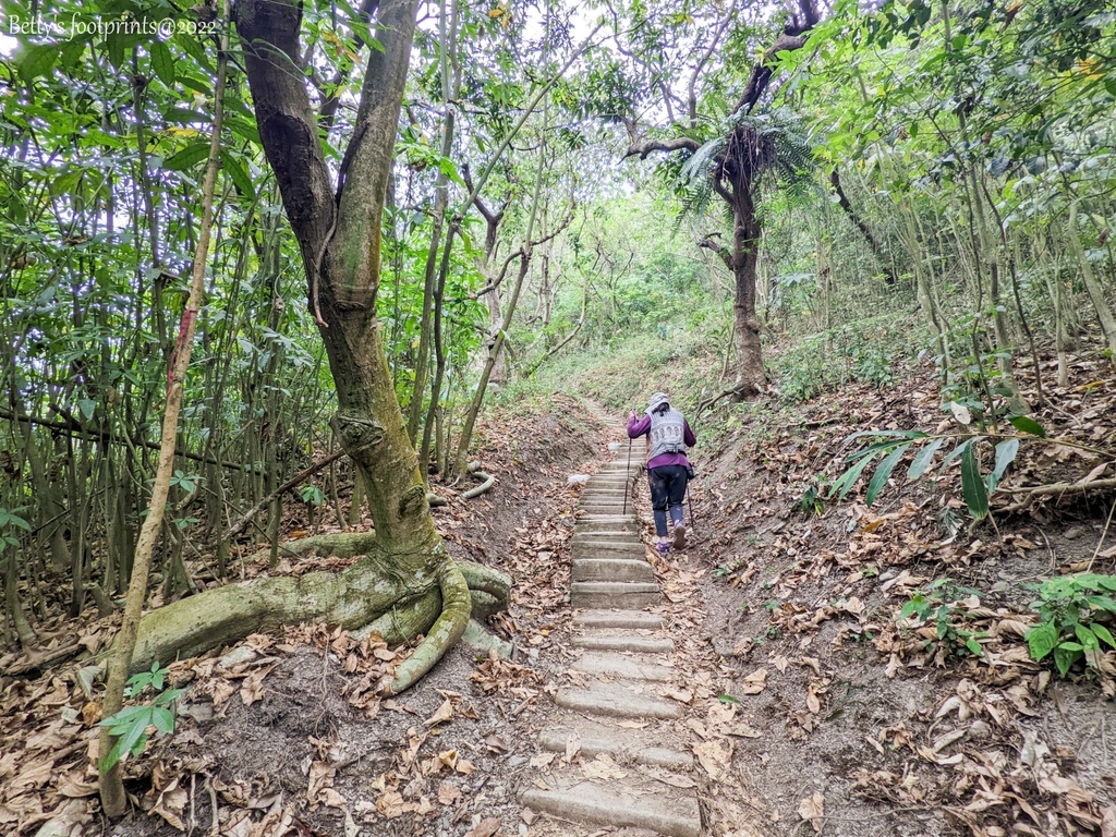 PXL_20220417_003949962.jpg PXL_20220417_003949962.jpg