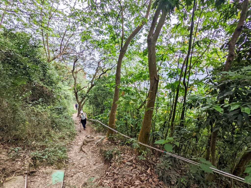 PXL_20220417_004821986.jpg PXL_20220417_004821986.jpg