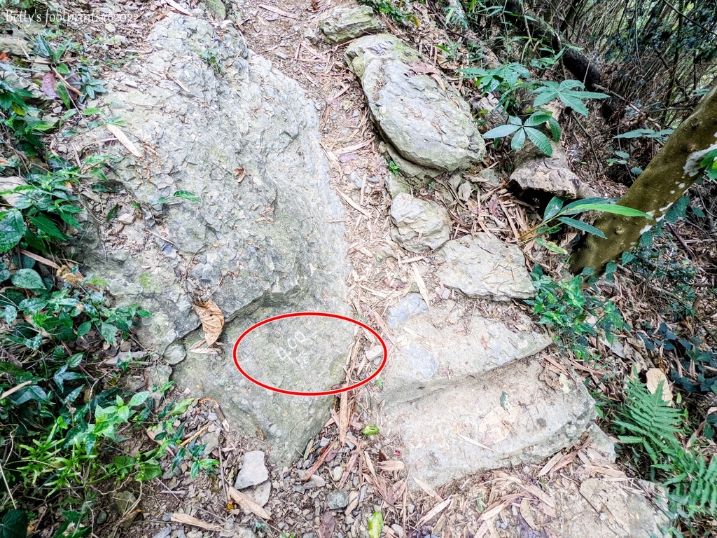 PXL_20220417_005915018.MP.jpg PXL_20220417_005915018.MP.jpg