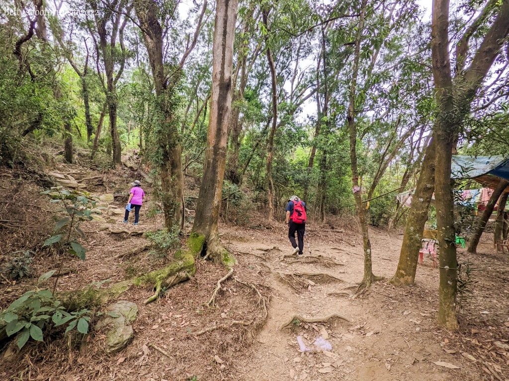 PXL_20220417_010031432.jpg PXL_20220417_010031432.jpg