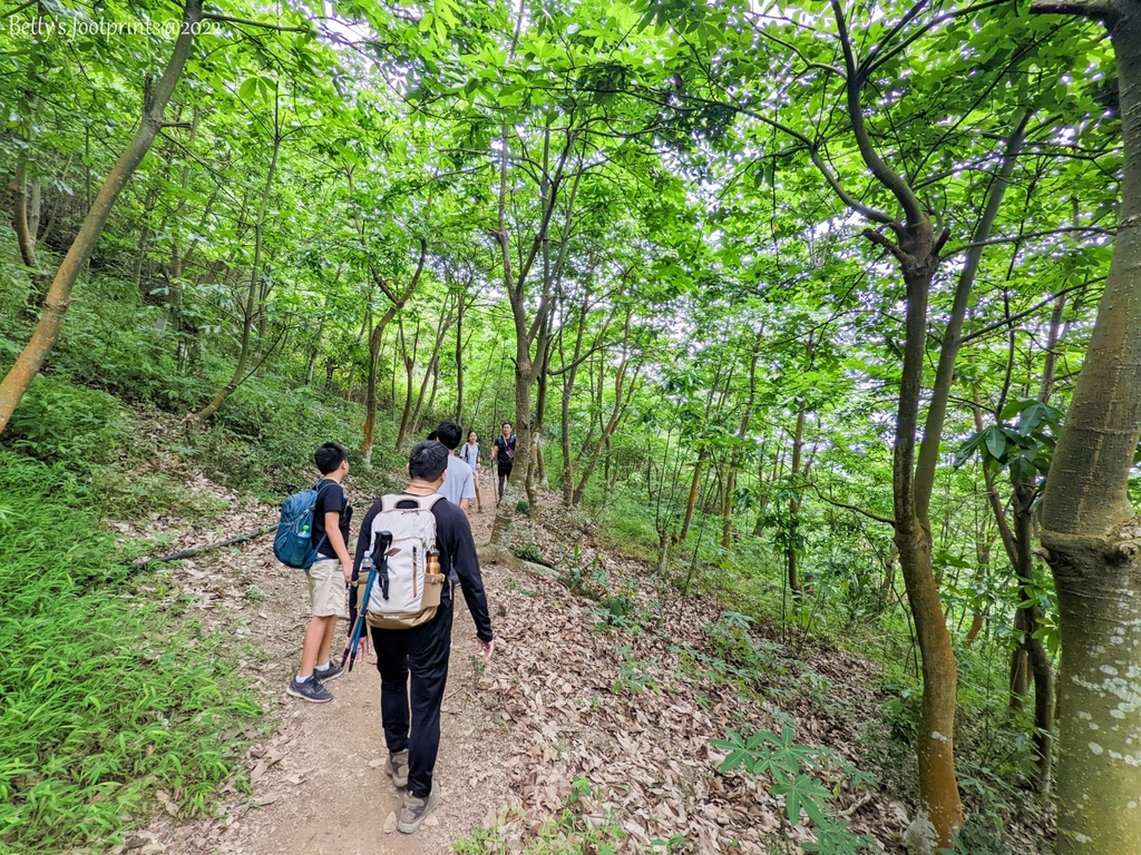 PXL_20220417_011138890.MP.jpg PXL_20220417_011138890.MP.jpg