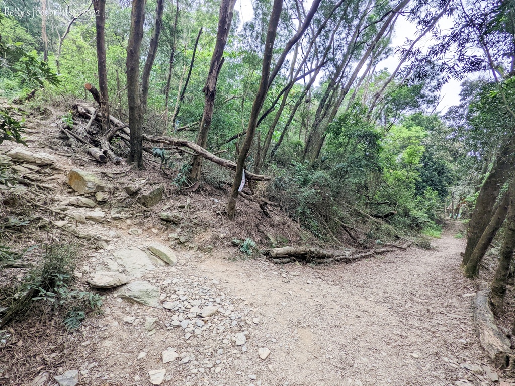 PXL_20220417_010455435.jpg PXL_20220417_010455435.jpg