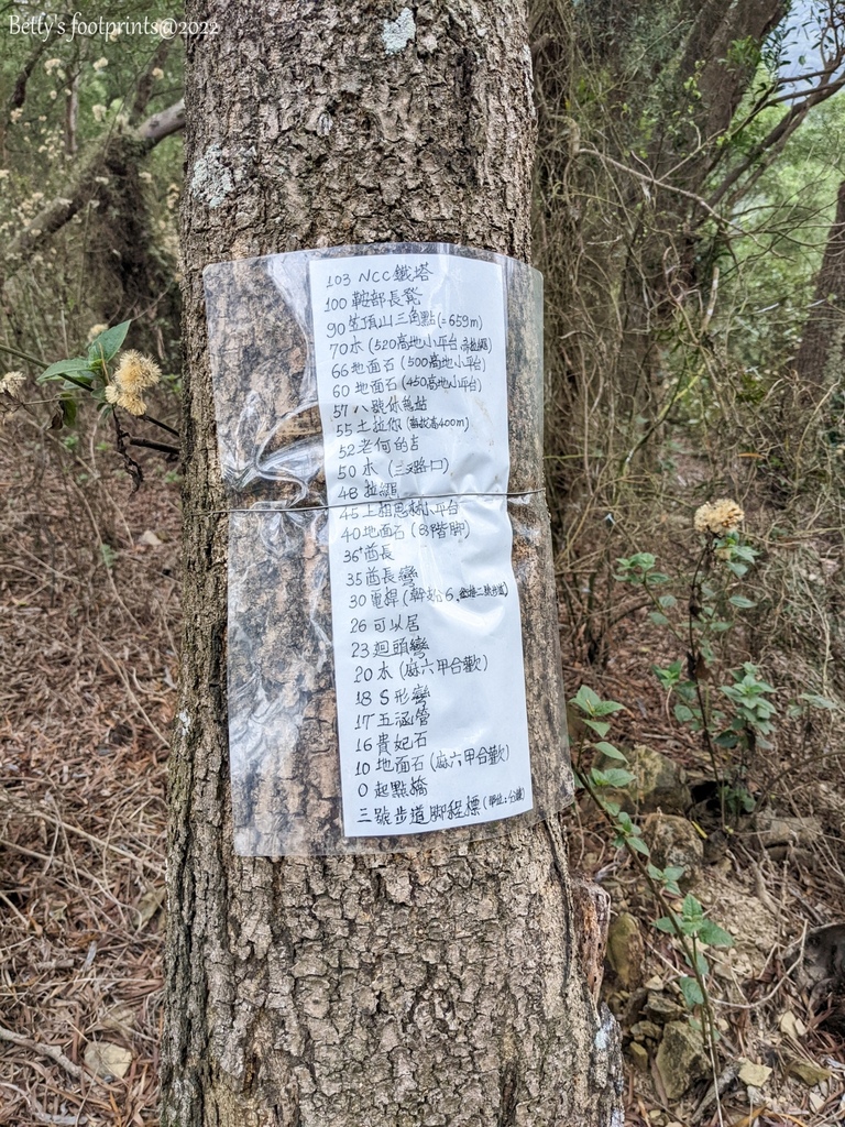 PXL_20220417_012859892.jpg PXL_20220417_012859892.jpg